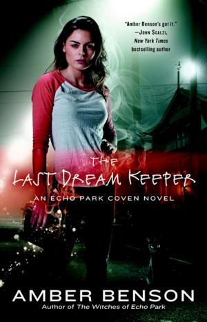 Book cover of The Last Dream Keeper