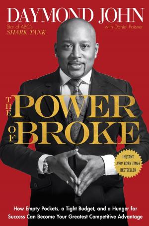 Book cover of The Power of Broke
