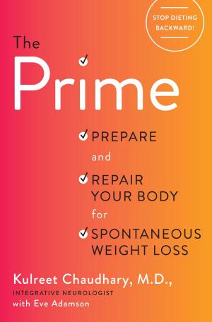 Cover of the book The Prime by Michael Kern