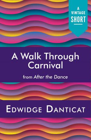 Cover of the book A Walk Through Carnival by J. R. Frontera
