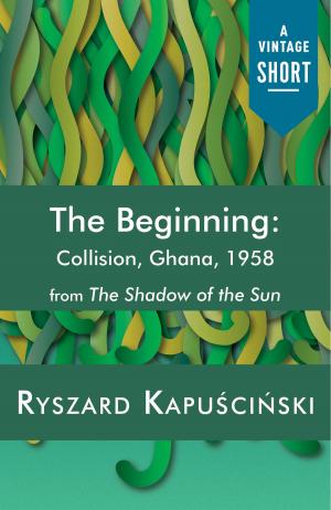 Cover of the book The Beginning by Dani Shapiro