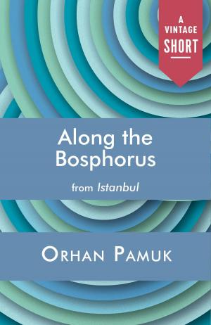 Cover of the book Along the Bosphorus by Carolina De Robertis