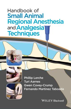 Cover of the book Handbook of Small Animal Regional Anesthesia and Analgesia Techniques by Hans P. Blaschek, Jürgen Scheffran, Thaddeus C. Ezeji