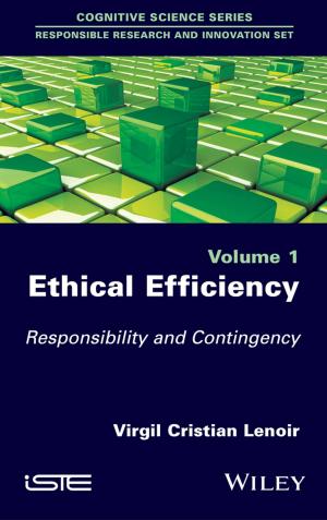 Book cover of Ethical Efficiency