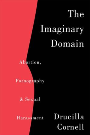 Cover of the book The Imaginary Domain by Diane Long Hoeveler