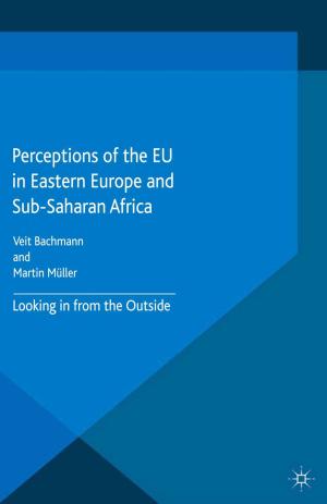 Cover of the book Perceptions of the EU in Eastern Europe and Sub-Saharan Africa by Hironobu Nakagawa, Tatsuya Uchida