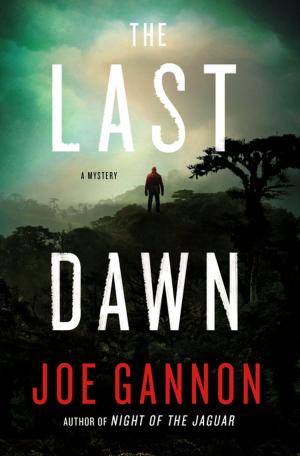 Cover of the book The Last Dawn by Brian Doyle