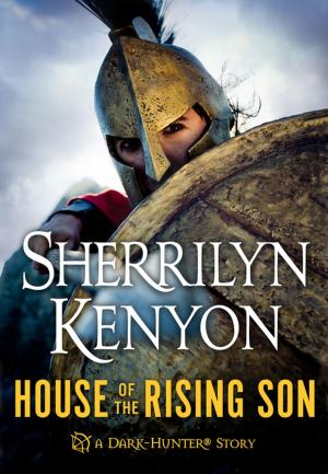 Book cover of House of the Rising Son