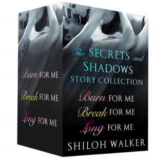 Book cover of The Secrets and Shadows Story Collection
