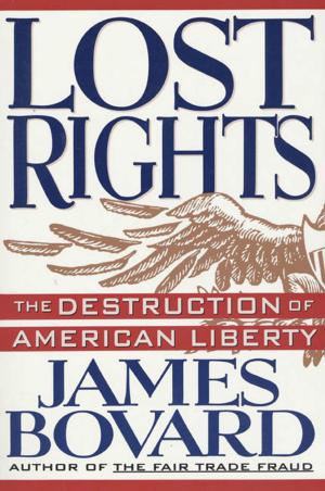 Cover of the book Lost Rights by David Rosenfelt