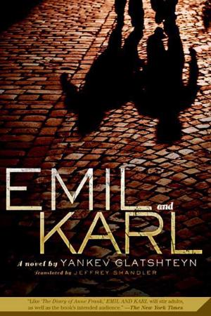 Cover of the book Emil and Karl by Alexandra Day