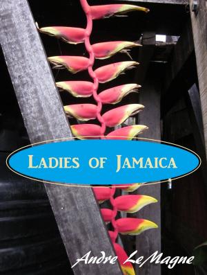 Cover of the book Ladies of Jamaica: an erotic anthology by Andre LeMagne