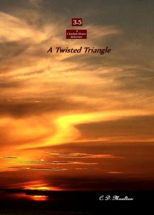Cover of the book A Twisted Triangle by CD Moulton