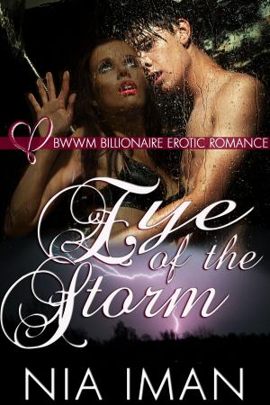 Cover of the book Eye of the Storm by Jazmine Bryant