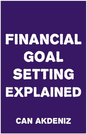 Cover of the book Financial Goal Setting Explained by IntroBooks