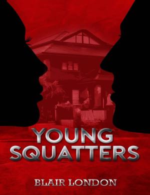 Book cover of Young Squatters