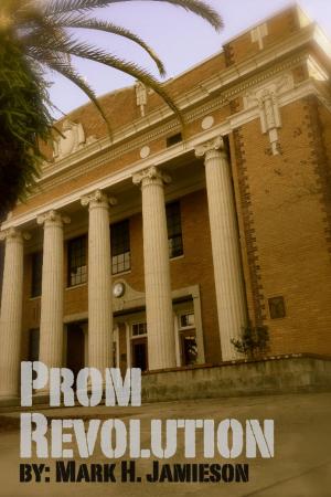 Cover of the book Prom Revolution by Mary Ann Bernal