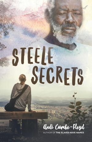 Book cover of Steele Secrets
