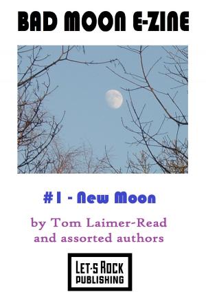 Cover of the book Bad Moon E-Zine #1: New Moon by Alison McGhee