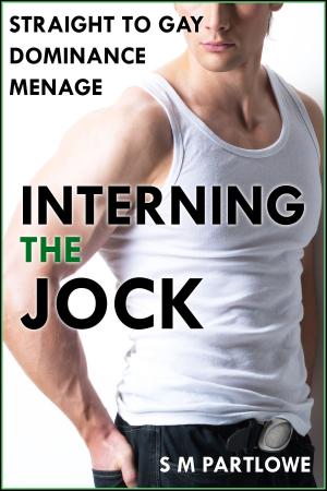 Cover of Interning the Jock (Straight to Gay Dominance Menage)