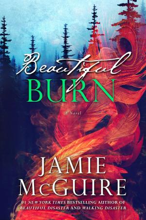 Cover of the book Beautiful Burn: A Novel by Betty Paper
