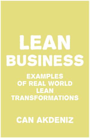 Book cover of Lean Business: Examples of Real World Lean Transformations