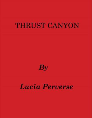 Book cover of Thrust Canyon