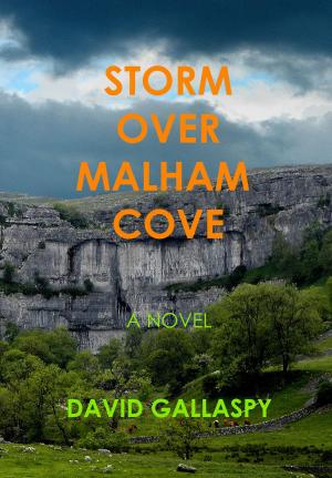 Cover of the book Storm Over Malham Cove by Linda S. Prather, Charles W. Prather, Jr.