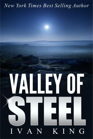 Cover of the book Valley of Steel by I.G. Harding