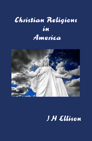 Book cover of Christian Religions in America