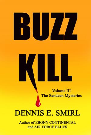 Book cover of Buzz Kill: The Sandeen Mysteries, Book Three