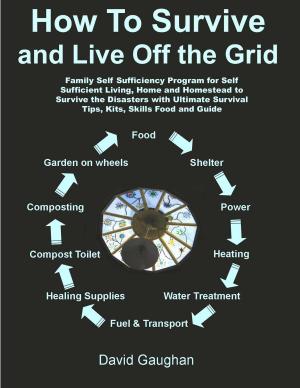 Book cover of How To Survive and Live Off the Grid: Family Self Sufficiency Program for Self Sufficient Living, Home and Homestead to Survive the Disasters with Ultimate Survival Tips, Kits, Skills Food and Guide