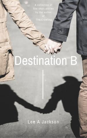 Book cover of Destination B