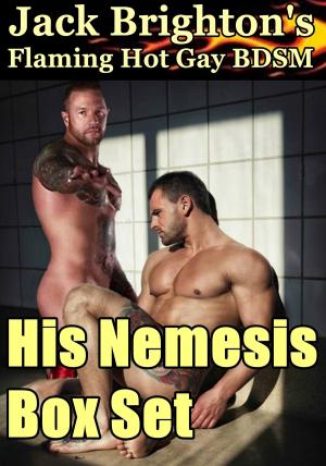 Cover of the book His Nemesis Box Set by Dan Bruce