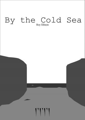 Cover of By the Cold Sea
