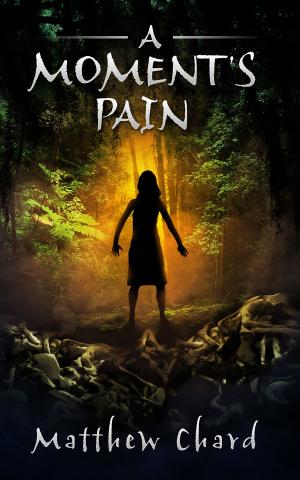 Cover of the book A Moment's Pain by Patrick Quinlan