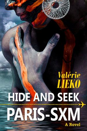 Cover of the book Hide and Seek PARIS-SXM by Taryn Plendl