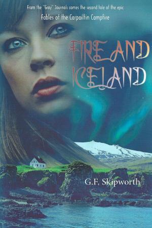 Cover of the book Fire and Iceland by M.M. Shelley