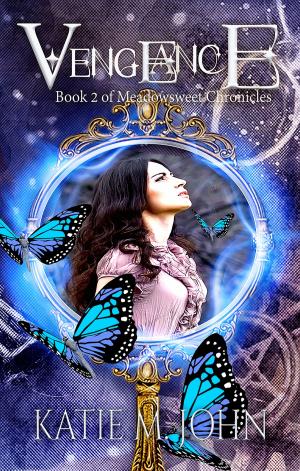 Cover of the book Vengeance (Book 2 of The Meadowsweet Chronicles) by Jonathan D Allen