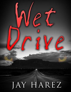 Cover of the book Wet Drive by Natalia Salnikova
