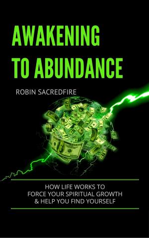 Cover of the book Awakening to Abundance: How Life Works to Force Your Spiritual Growth and Help You Find Yourself by Bo Karma