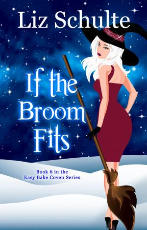Book cover of If the Broom Fits