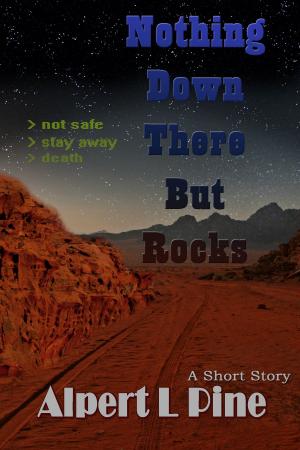 Cover of the book Nothing Down There But Rocks by Alpert L Pine
