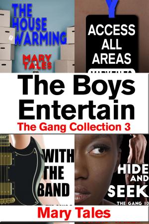 Book cover of The Boys Entertain