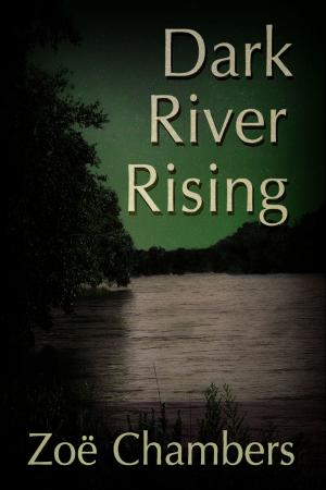 Cover of the book Dark River Rising by Maya Cross