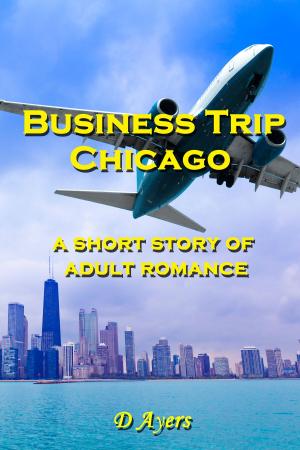 Cover of the book Business Trip: Chicago, a short story of adult romance by T.M. Olsen
