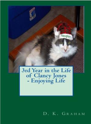 bigCover of the book 3rd Year in the Life of Clancy Jones: Loving Life by 