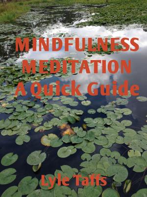 Cover of the book Mindfulness Meditation: A Quick Guide by Robert Louis Hesslink Jr. ScD