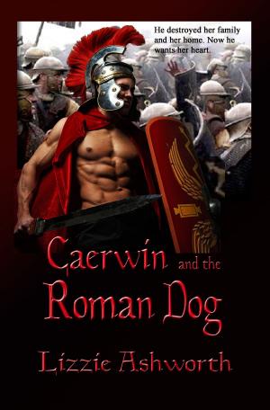 Book cover of Caerwin and the Roman Dog