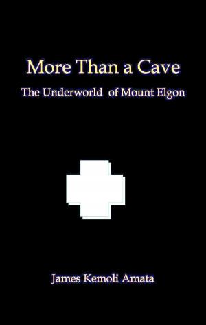 Book cover of More Than a Cave: The Underworld of Mount Elgon